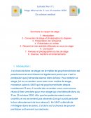 Exemple rapport de stage