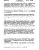 Commentaire de l'arrêt du 8 mars 2019, tribunal administratif