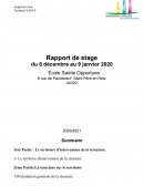 Rapport de stage en école maternelle