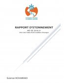 Rapport d'étonnement