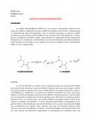 Étude de la malate déshydrogénase (MDH)