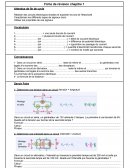 Fiche de révision chapitre 1