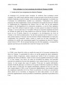 Fiche technique: La Cour européenne des droits de l’homme (CEDH)