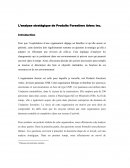 Analyse stratégique TN2 ADM1002