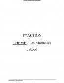 Action commerciale appliquées : les Mamelles Jaboot