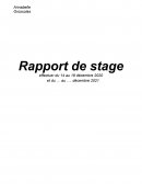 Rapport de stage de 3ème