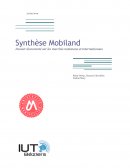 Synthèse sur Mobiland