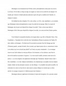 Les essais de Montaigne ont-ils pour seul objectif de critiquer la société ?