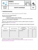 Fiche SNT