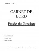 Carnet de bord d'étude de gestion - Sony