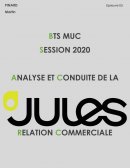 Analyse et conduite de la relation commerciale de Jules