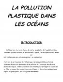 La pollution plastique dans les océans