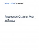 Production Chain of Milk in France