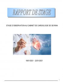 Rapport De Stage Cardiologie 3e Rapport De Stage Warri
