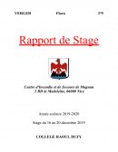 Rapport de stage au centre d'incendie et de secours de Magnan