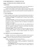Le projet de stage