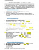 Rapport de point d'étape