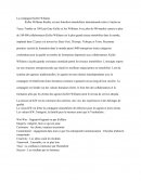Rapport de stage Keller Williams