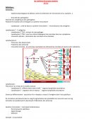 Résumé cours 2.1 composition du sang