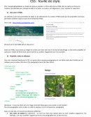 CSS : feuille de style.