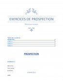 Exercices de prospection