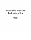 Analyse de Pratiques Professionnelles