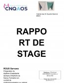 Rapport de stage dentiste