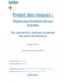 PROJET DE GESTION DES RISQUES