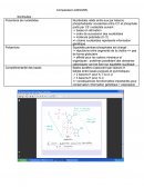 Comparaison ADN/ARN