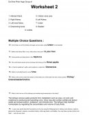 Worksheet