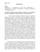 Dissertation Les Lettres Persanes