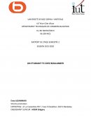 Rapport de stage étudiant iut TC Boulanger