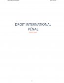 Droit international pénal