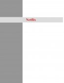 Etude de gestion Netflix fiche d'identité