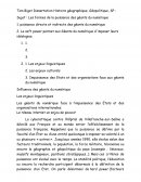 Les formes de la puissance des géants du numérique
