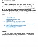 Analyse de l'incipit de la Peau de Chagrin (Introduction, plan , conclusion)