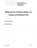 Séquence d’observation en milieu professionnel