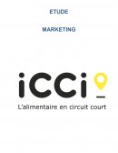 Rapport Marketing ICCI