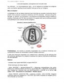 TP La relation antigène – anticorps