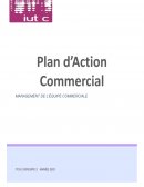 Plan d'action Commerciale - Dossier