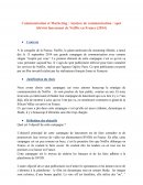 Communication et Marketing : Analyse de communication : spot télévisé lancement de Netflix en France (2014)