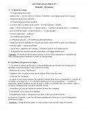 Lecture analytique Ma Bohème - Rimbaud