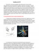 Synthèse d'SVT de sur le système immunitaire inné