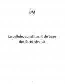 La cellule constituante de base des êtres vivants (seconde)