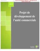 Projet de développement commercial d'un produit écologique en GSS