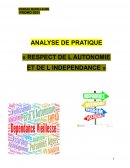 Analyse de pratique "respect de l'autonomie et de l'indépendance"