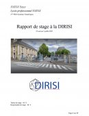 Rapport de stage - 2nde pro SN - DIRISI