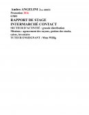 Rapport de stage ITM