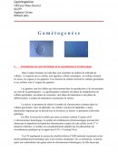 Embryologie : la Gamétogenèse