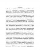 Système respiratoire